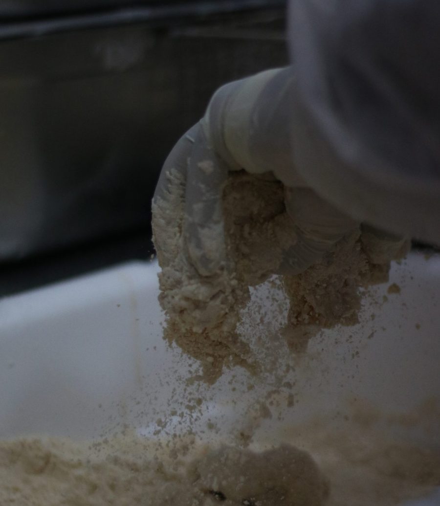 چیکن سان ادویه