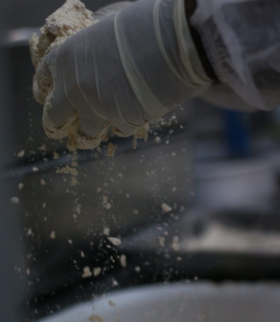 چیکن سان ادویه